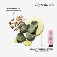Thumbnail for Pureology_Pure Volume Conditioner_Cosmetic World