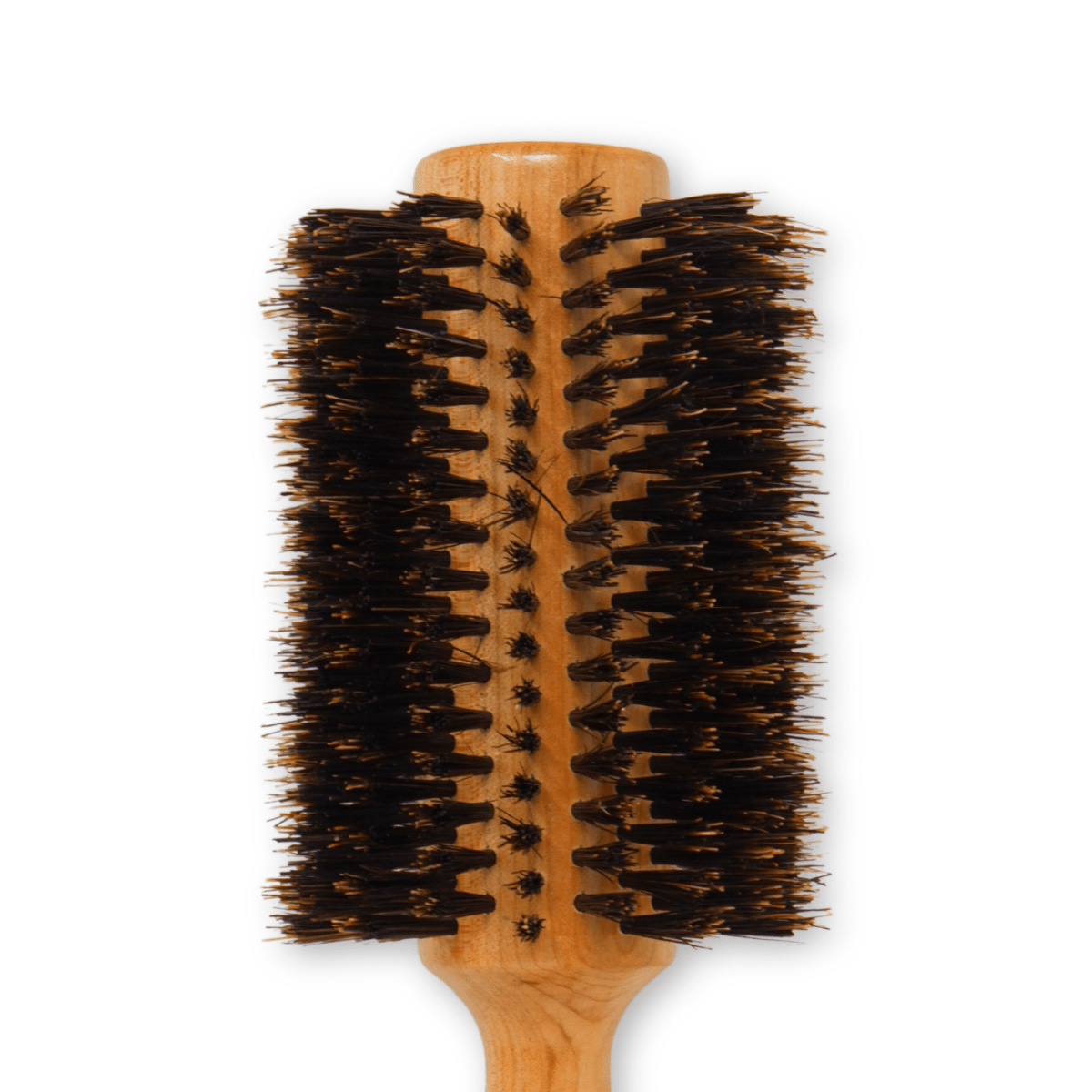 REJUVEN8_Natural Boar Bristle Round Brush 6.5cm wide 23cm long Large_Cosmetic World