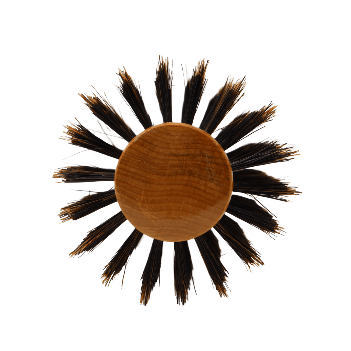REJUVEN8_Natural Boar Bristle Round Brush 6.5cm wide 23cm long Large_Cosmetic World