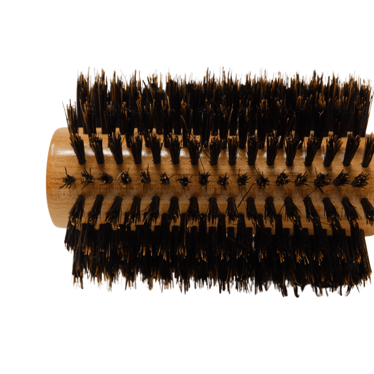 REJUVEN8_Natural Boar Bristle Round Brush 6.5cm wide 23cm long Large_Cosmetic World