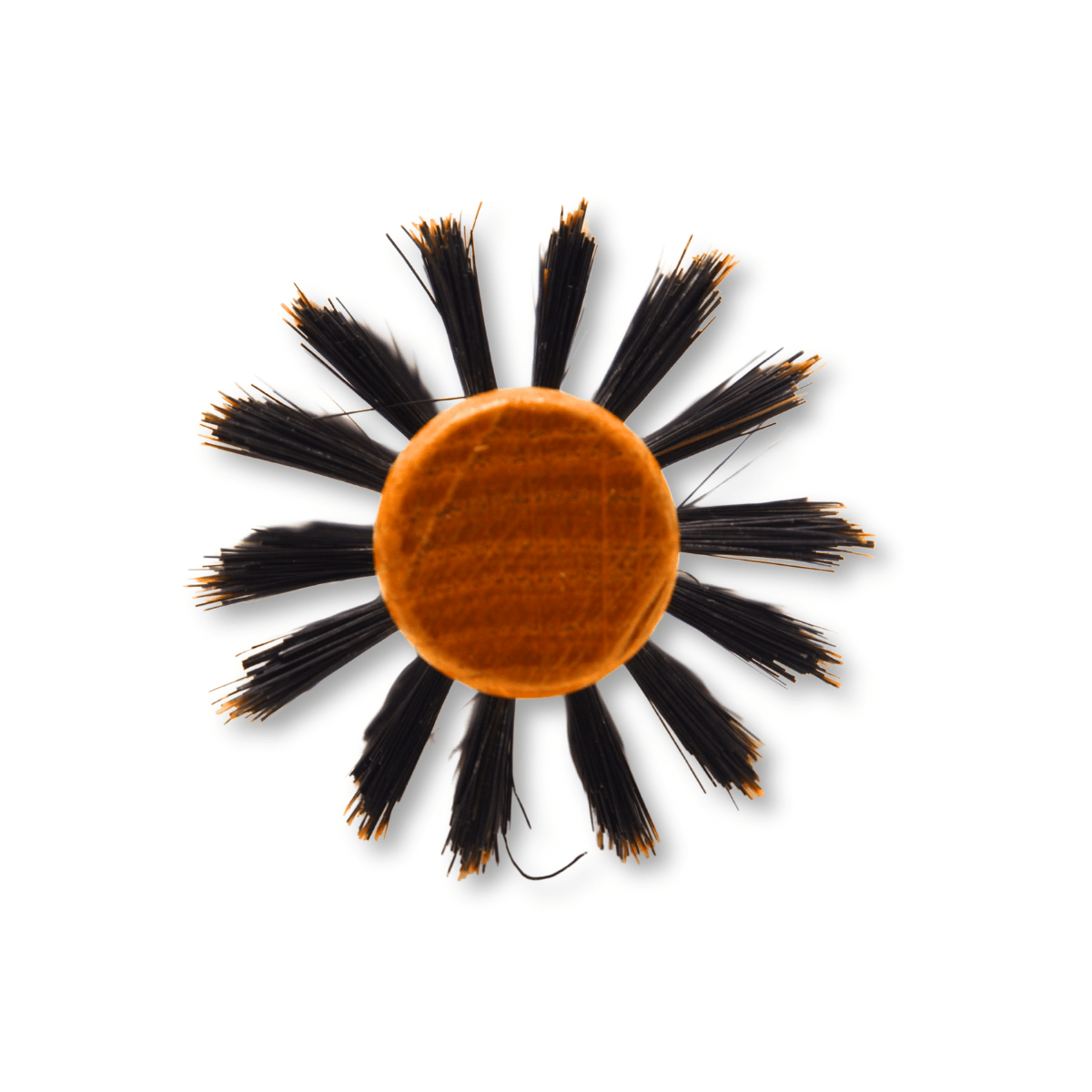 REJUVEN8_Round Brush - Natural Boar Bristle 2.16" / 5.5cm Wide Medium_Cosmetic World