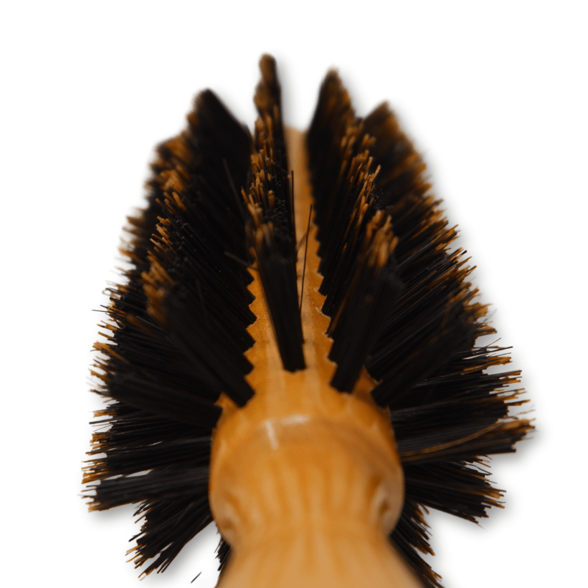 REJUVEN8_Round brush - Natural Boar Bristle 8812B - 1.7"/4.5 cm wide_Cosmetic World