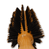 Thumbnail for REJUVEN8_Round brush - Natural Boar Bristle 8812B - 1.7