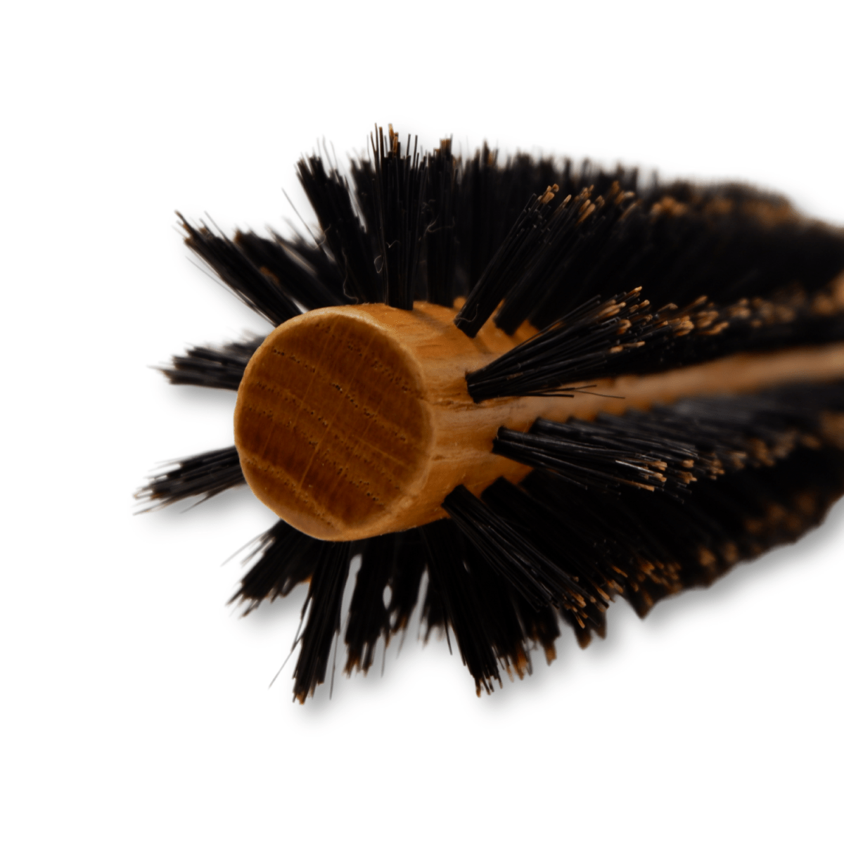 REJUVEN8_Round Brush - Natural Boar Bristle - 8812NB 1.65"/4.2cm wide_Cosmetic World
