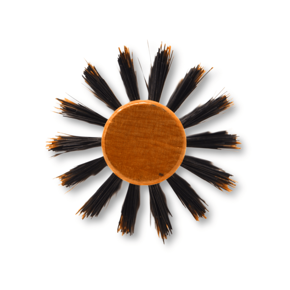 REJUVEN8_Round brush - Natural Boar Bristle 8814B - 1.96"/5 cm wide_Cosmetic World