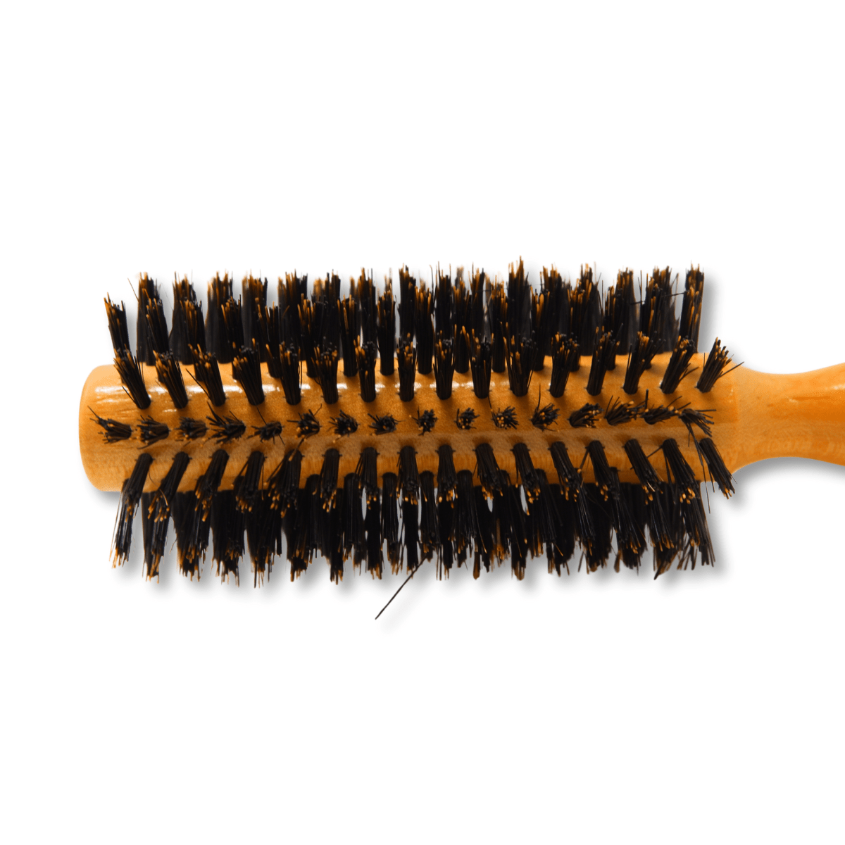 REJUVEN8_Round brush - Natural Boar Bristle 8814B - 1.96"/5 cm wide_Cosmetic World