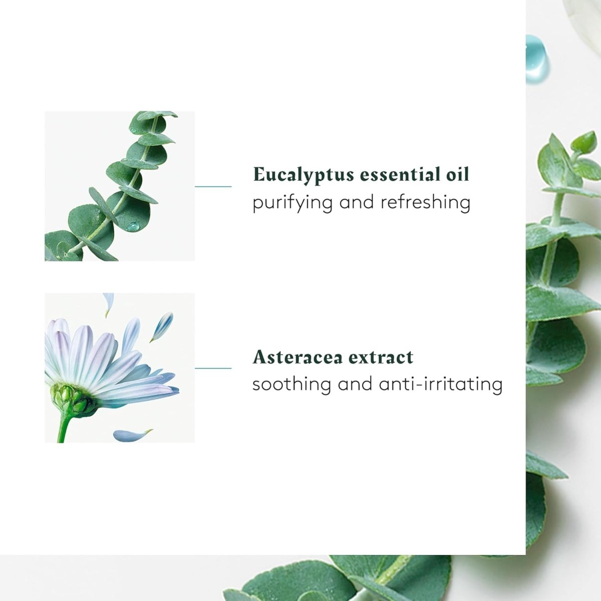 RENE FURTERER_Soothing Concentrate Freshness & Purity Essential Oils_Cosmetic World
