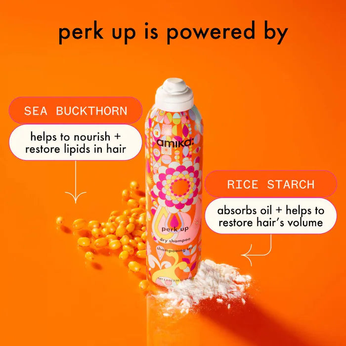 Shampooing sec Perk Up