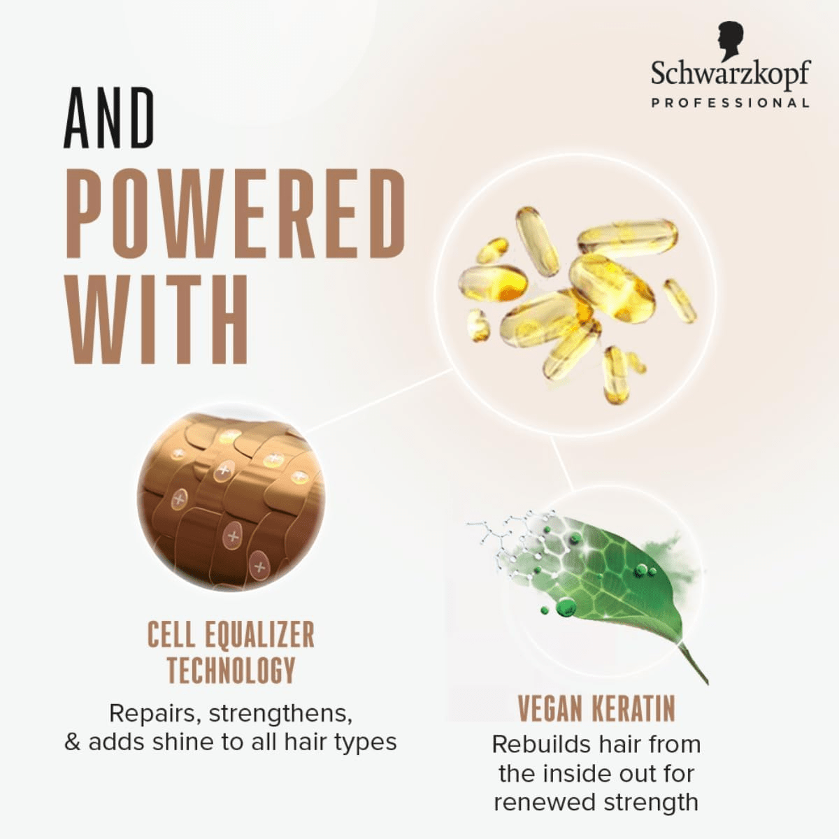 Schwarzkopf - BC Bonacure_BC Bonacure Time Restore Conditioner Q10+ | BOGO!_Cosmetic World