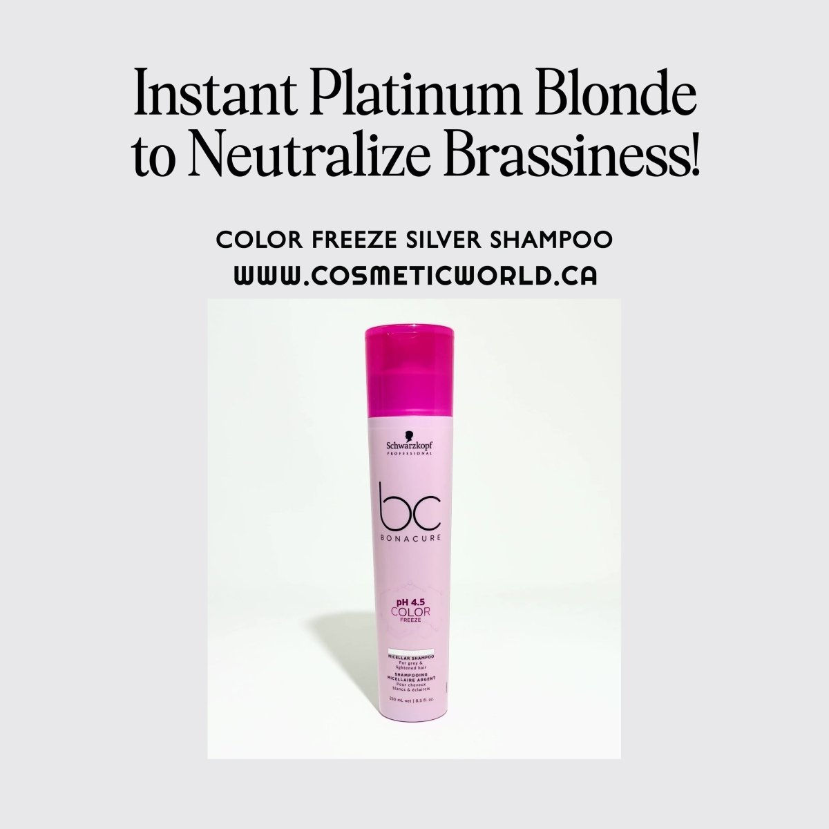 SCHWARZKOPF - BC BONACURE_Silver Micellar Shampoo For Grey & Lightened Hair_Cosmetic World