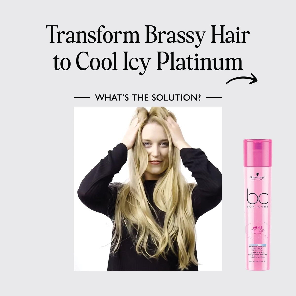 SCHWARZKOPF - BC BONACURE_Silver Micellar Shampoo For Grey & Lightened Hair_Cosmetic World