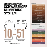 Thumbnail for Schwarzkopf_BLONDME Glow Toner_Cosmetic World