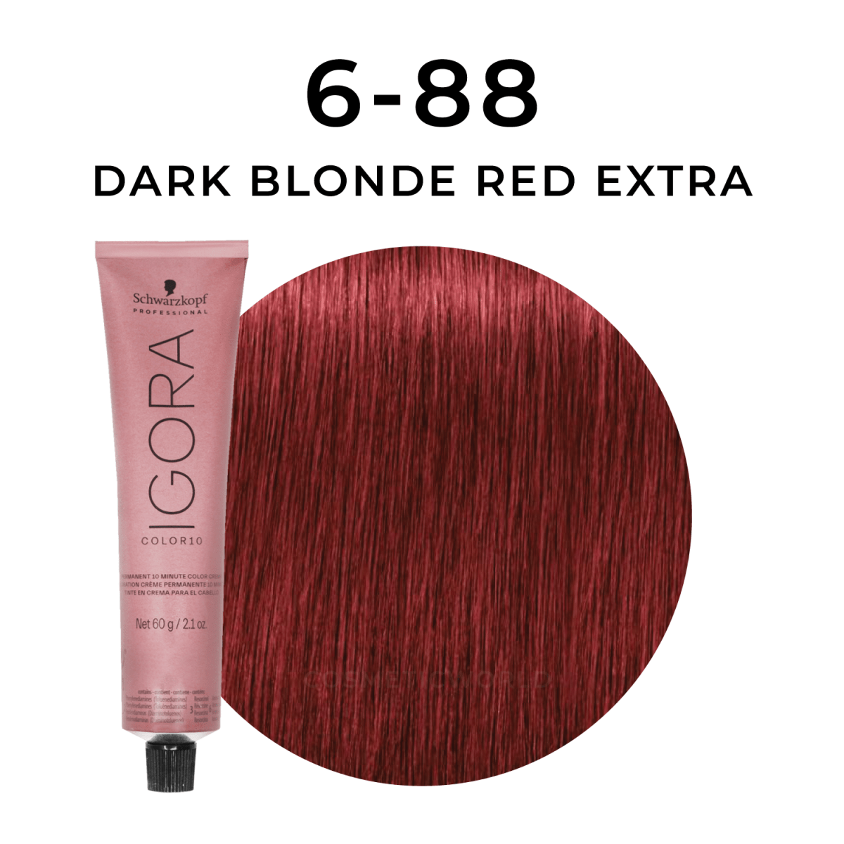 Schwarzkopf - Color 10_Igora Color 10 6-88 Dark Blonde Red Extra_Cosmetic World