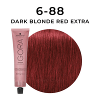 Thumbnail for Schwarzkopf - Color 10_Igora Color 10 6-88 Dark Blonde Red Extra_Cosmetic World