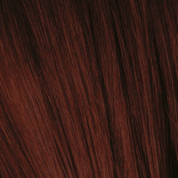 Thumbnail for Schwarzkopf - Essensity_Essensity 4 - 88 Medium Brown Extra Red_Cosmetic World