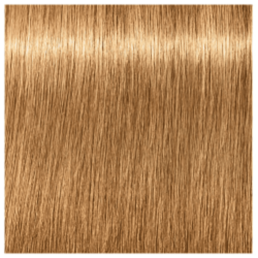 Schwarzkopf - Essensity_Essensity 7 - 55 Medium Blonde Gold Extra_Cosmetic World