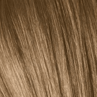 Thumbnail for Schwarzkopf - Essensity_Essensity 8 - 62 Light Blonde Auburn Ash_Cosmetic World