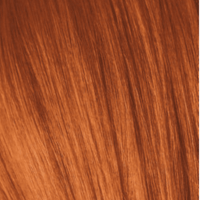Thumbnail for Schwarzkopf - Essensity_Essensity 8 - 77 Light Blonde Copper Extra_Cosmetic World
