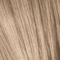 Thumbnail for Schwarzkopf - Essensity_Essensity 9 - 14 Light Cedar_Cosmetic World
