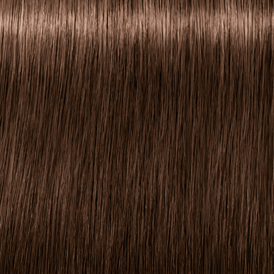 Schwarzkopf - Igora Royal_Igora Royal Nude Tones 6 - 46 Dark Blonde Beige Chocolate_Cosmetic World