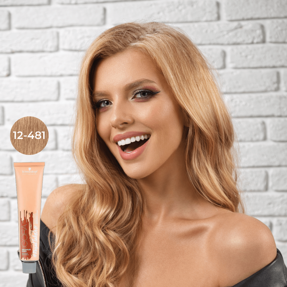 Schwarzkopf - Igora Royal_Igora Royal Takeover 12 - 481 Special Blonde Beige Red Cendre_Cosmetic World