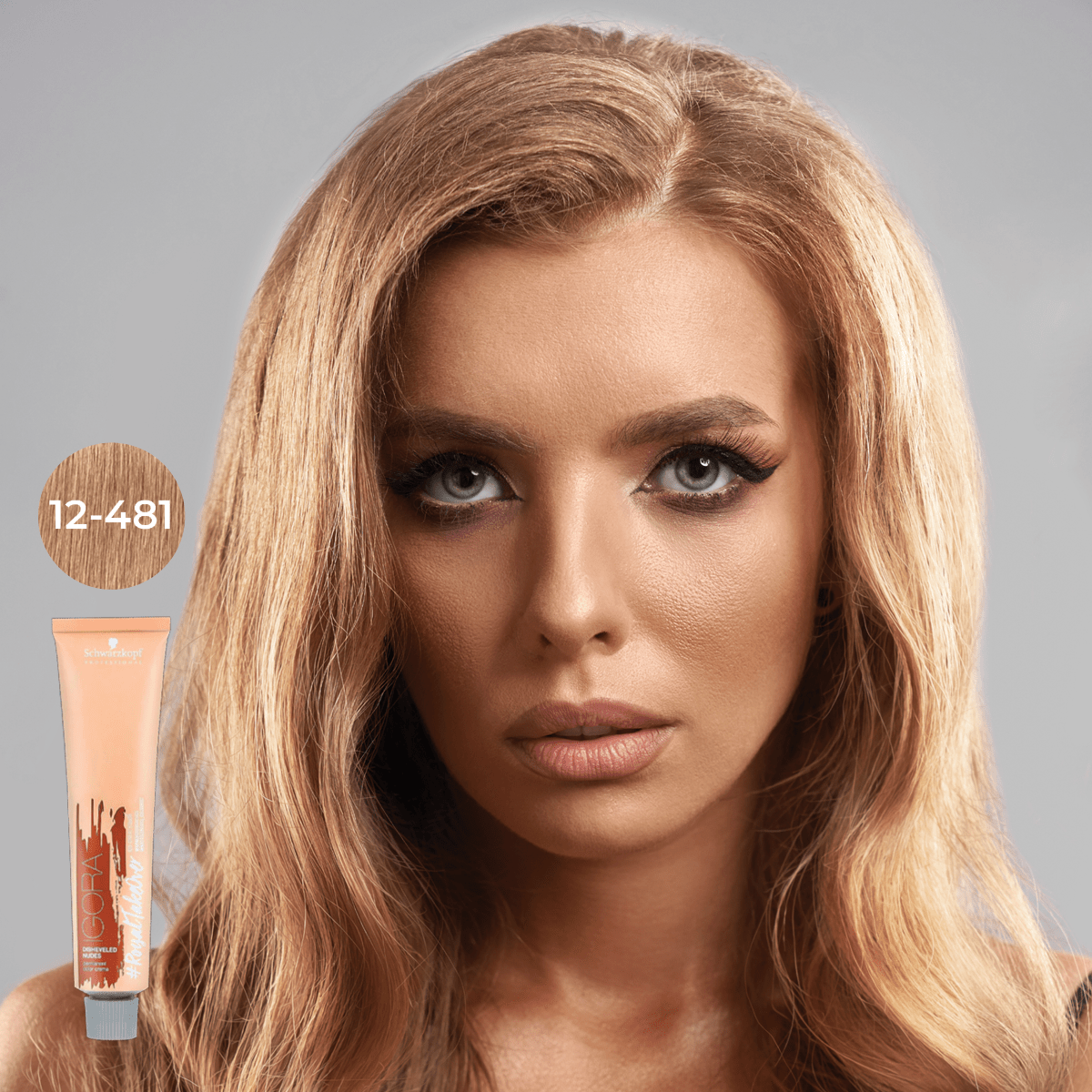 Schwarzkopf - Igora Royal_Igora Royal Takeover 12 - 481 Special Blonde Beige Red Cendre_Cosmetic World
