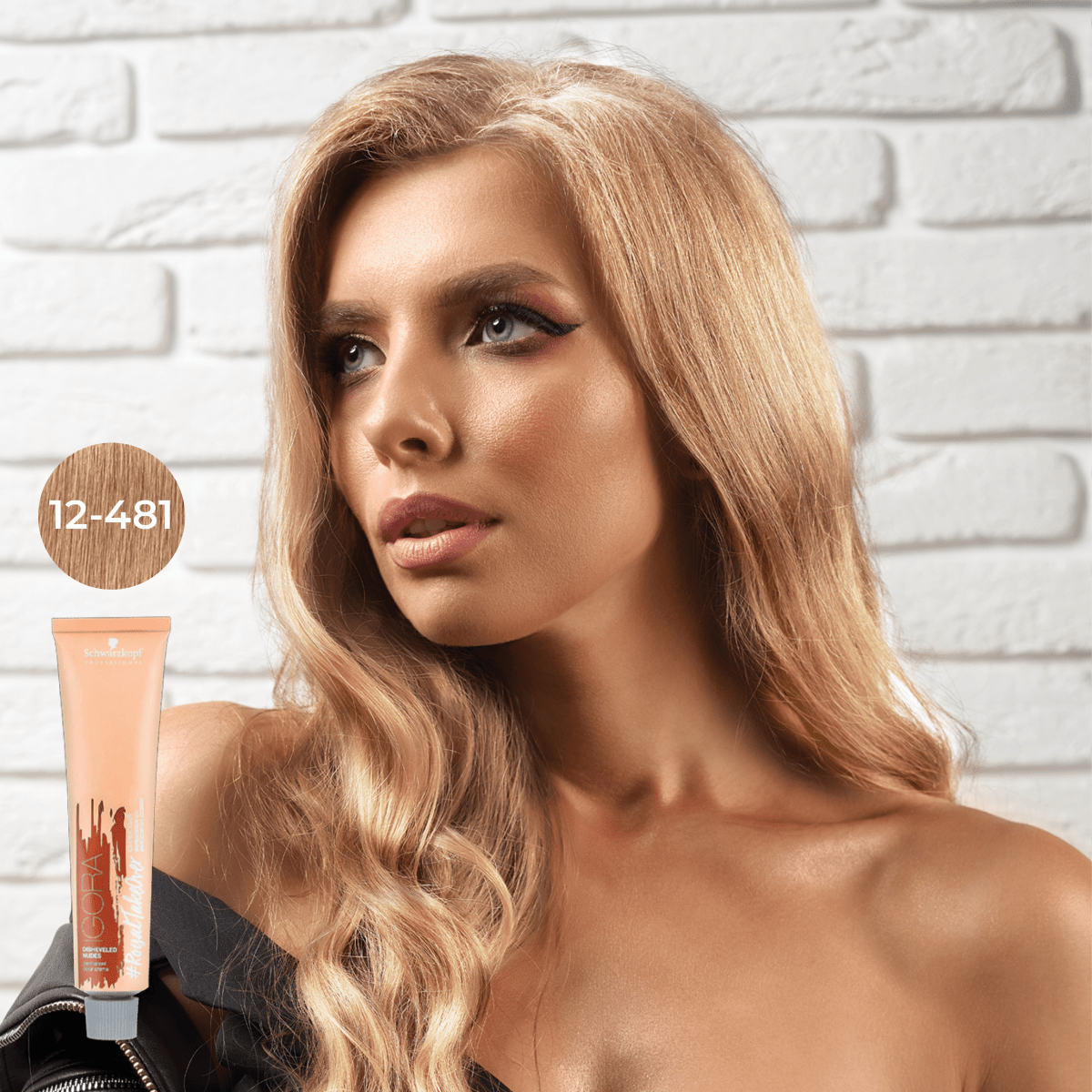 Schwarzkopf - Igora Royal_Igora Royal Takeover 12 - 481 Special Blonde Beige Red Cendre_Cosmetic World
