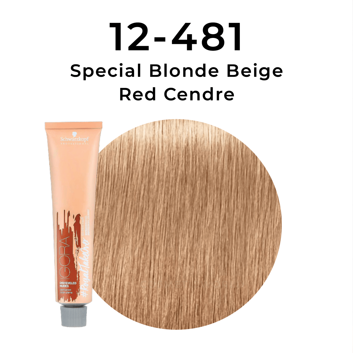 Schwarzkopf - Igora Royal_Igora Royal Takeover 12 - 481 Special Blonde Beige Red Cendre_Cosmetic World