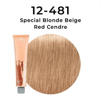 Thumbnail for Schwarzkopf - Igora Royal_Igora Royal Takeover 12 - 481 Special Blonde Beige Red Cendre_Cosmetic World