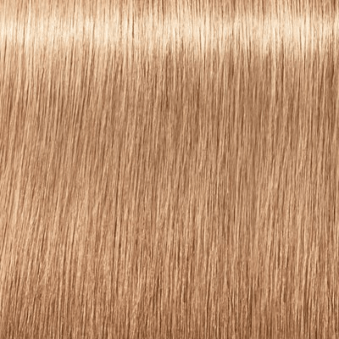 SCHWARZKOPF - IGORA ROYAL_Igora Royal Takeover 12 - 481 Special Blonde Beige Red Cendre_Cosmetic World