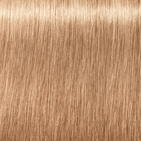 Thumbnail for SCHWARZKOPF - IGORA ROYAL_Igora Royal Takeover 12 - 481 Special Blonde Beige Red Cendre_Cosmetic World