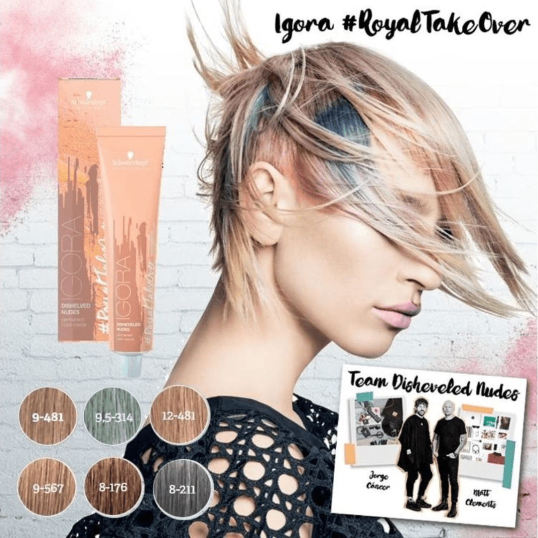 SCHWARZKOPF - IGORA ROYAL_Igora Royal Takeover 12 - 481 Special Blonde Beige Red Cendre_Cosmetic World