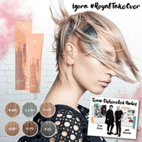 Thumbnail for SCHWARZKOPF - IGORA ROYAL_Igora Royal Takeover 12 - 481 Special Blonde Beige Red Cendre_Cosmetic World