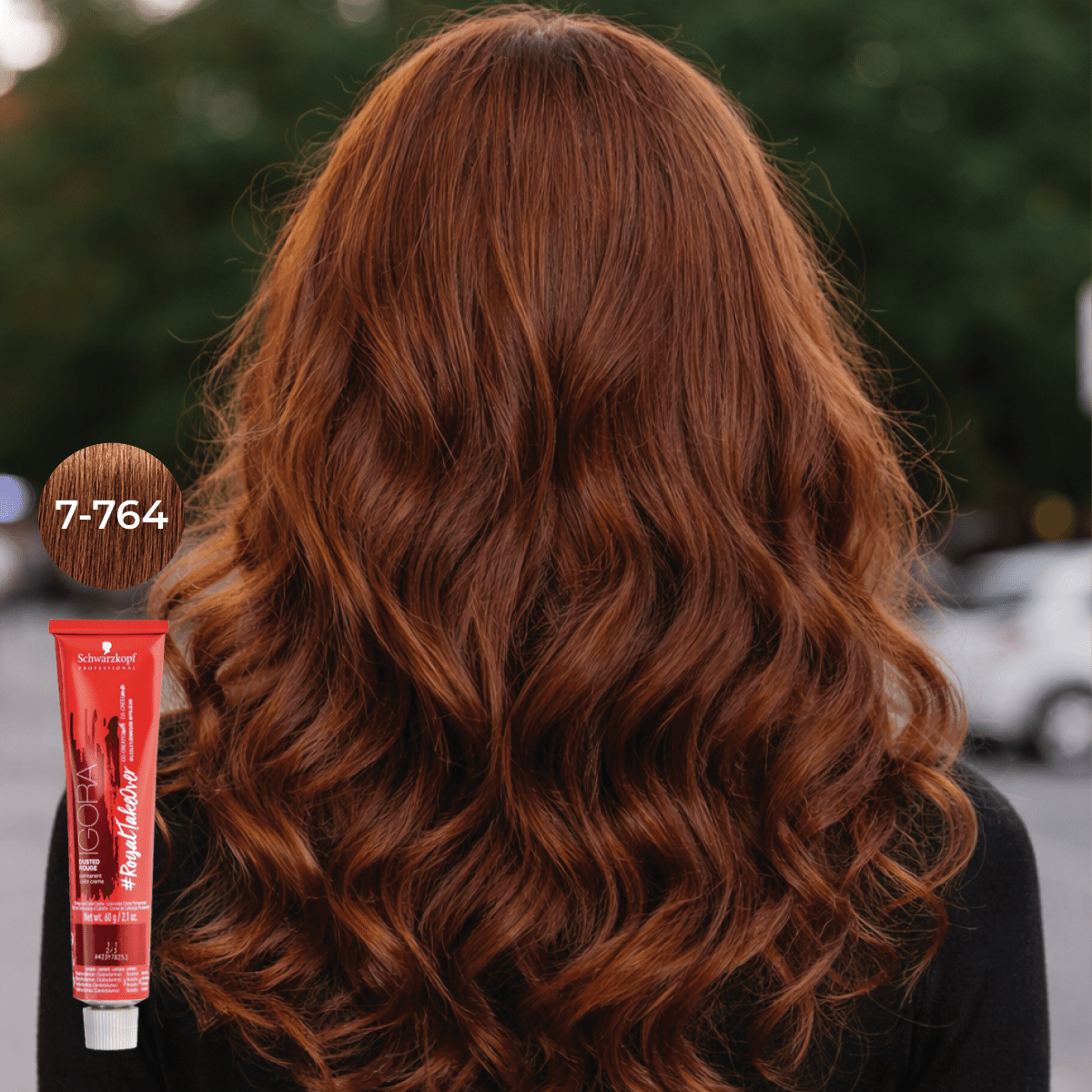 Schwarzkopf - Igora Royal_Igora Royal Takeover 7 - 764 Medium Blonde Copper Chocolate Beige_Cosmetic World