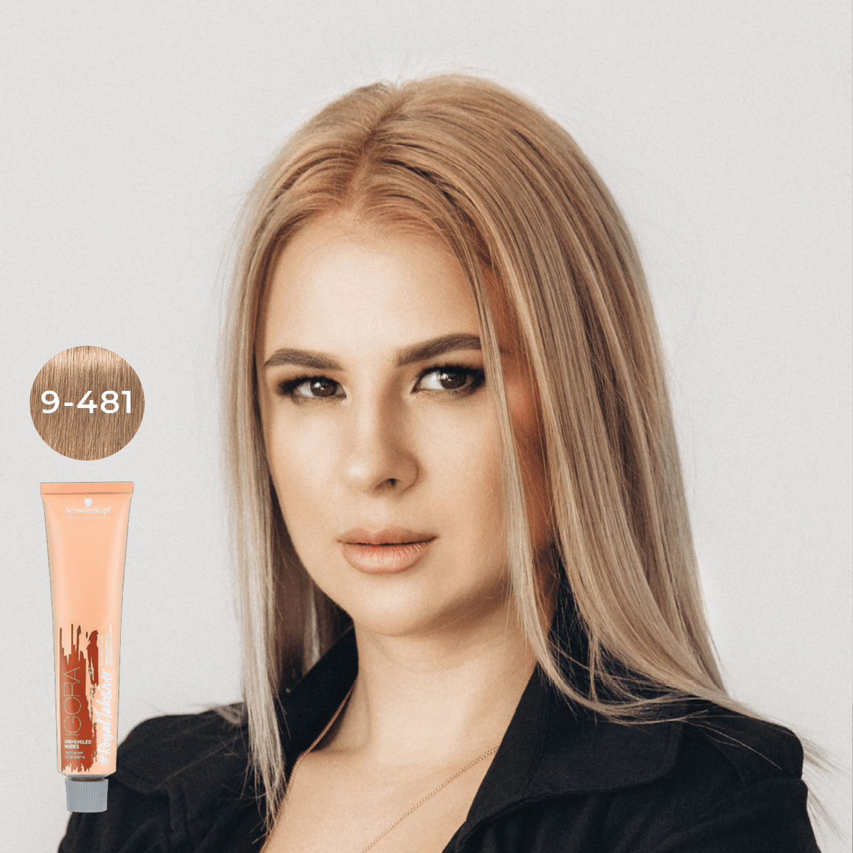 Schwarzkopf - Igora Royal_Igora Royal Takeover 9 - 481 Extra Light Blonde Beige Red Cendre_Cosmetic World
