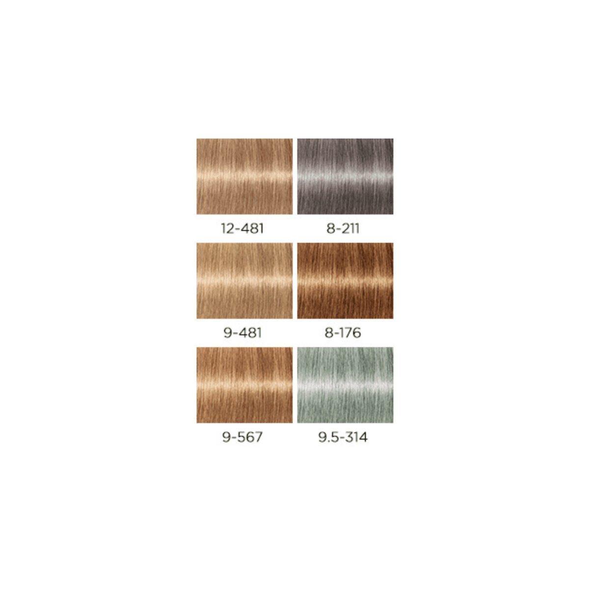 SCHWARZKOPF - IGORA ROYAL_Igora Royal Takeover 9.5 - 314 Matte Cendre Beige_Cosmetic World