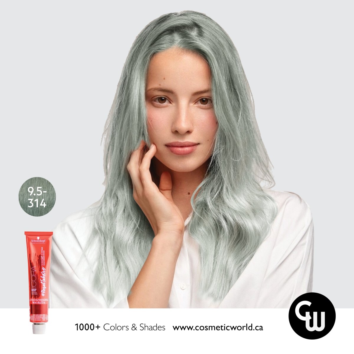 SCHWARZKOPF - IGORA ROYAL_Igora Royal Takeover 9.5 - 314 Matte Cendre Beige_Cosmetic World