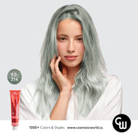Thumbnail for SCHWARZKOPF - IGORA ROYAL_Igora Royal Takeover 9.5 - 314 Matte Cendre Beige_Cosmetic World