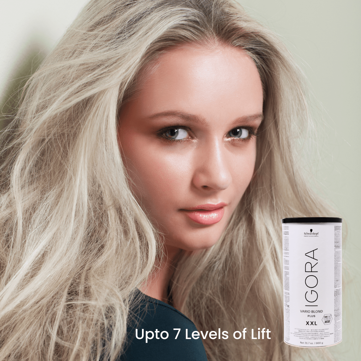 SCHWARZKOPF - IGORA VARIO BLOND_Igora Vario Blond Plus Blue Dust Free Lightening Powder XXL_Cosmetic World