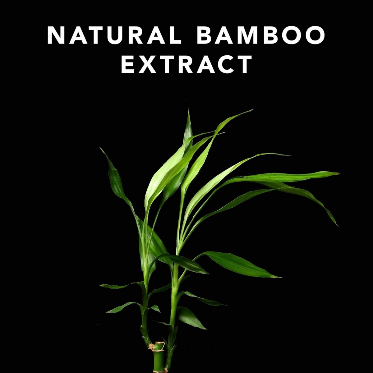 Sebastian_Volume Boosting Shampoo_Cosmetic World