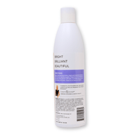 Thumbnail for SUNLIGHTS_Toning Shampoo_Cosmetic World