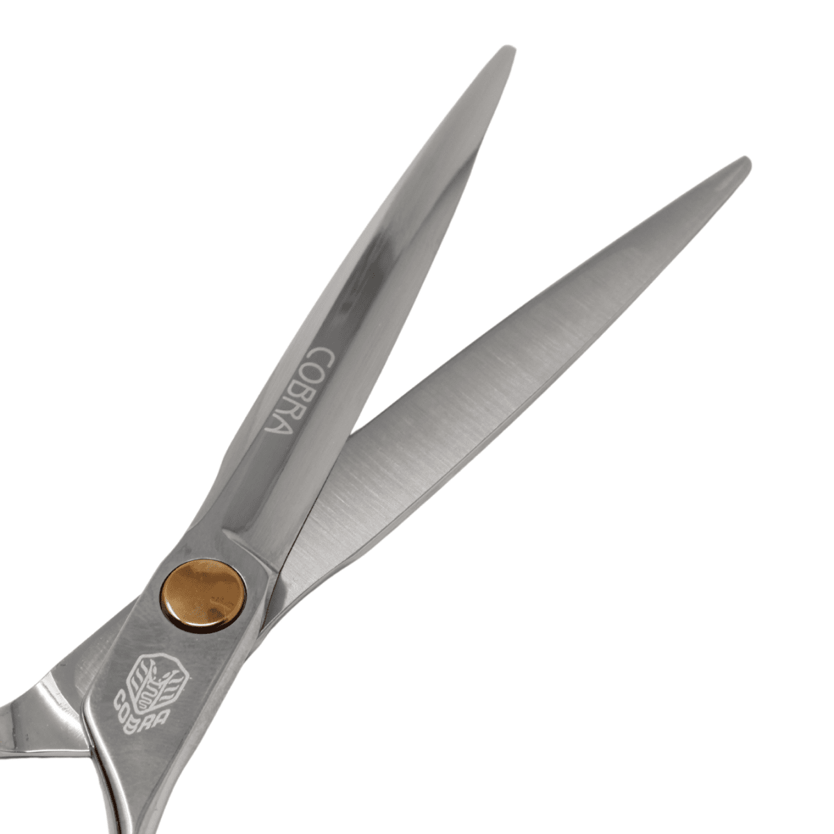 Takano_Professional Hair Cutting Scissors HA - 70 - 7" / 17.78cm_Cosmetic World