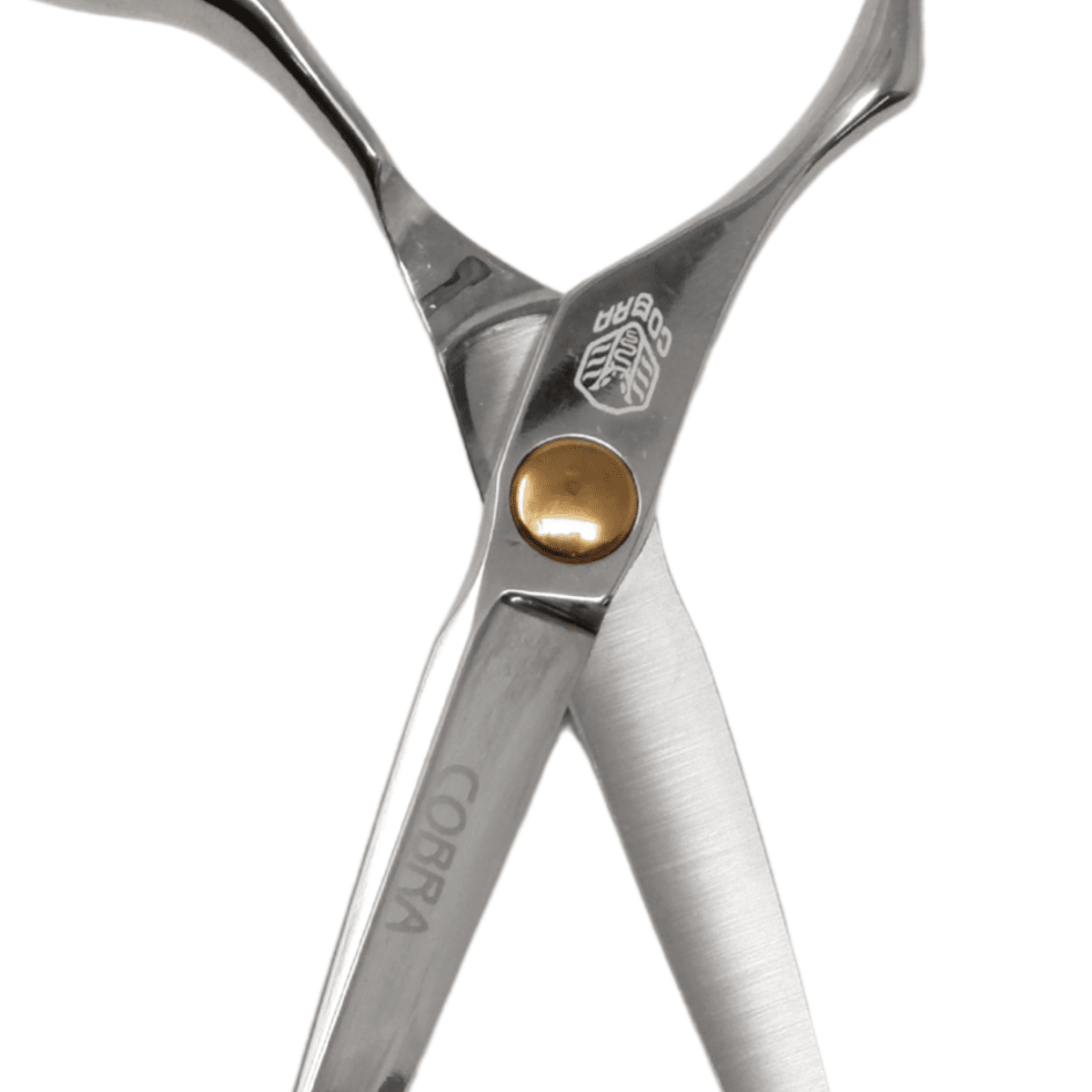 Takano_Professional Hair Cutting Scissors HL - 55 - 5.5" / 13.97cm_Cosmetic World