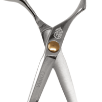 Thumbnail for Takano_Professional Hair Cutting Scissors HL - 55 - 5.5