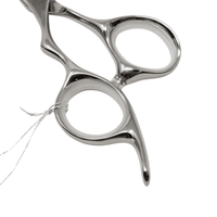 Thumbnail for Takano_Professional Hair Cutting Scissors HL - 55 - 5.5