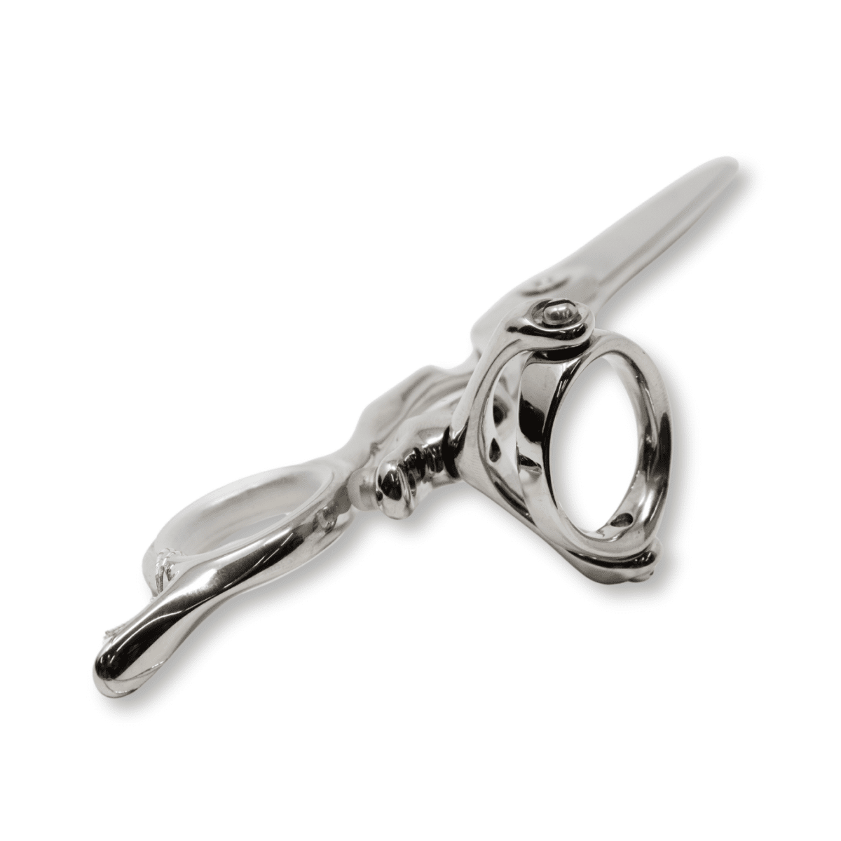 Takano_Professional Hair Double Swivel Cutting Scissors HWD - 60 - 6" / 15.24cm_Cosmetic World