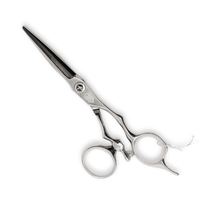 Thumbnail for Takano_Professional Hair Swivel Cutting Scissors HW - 55 - 5.5