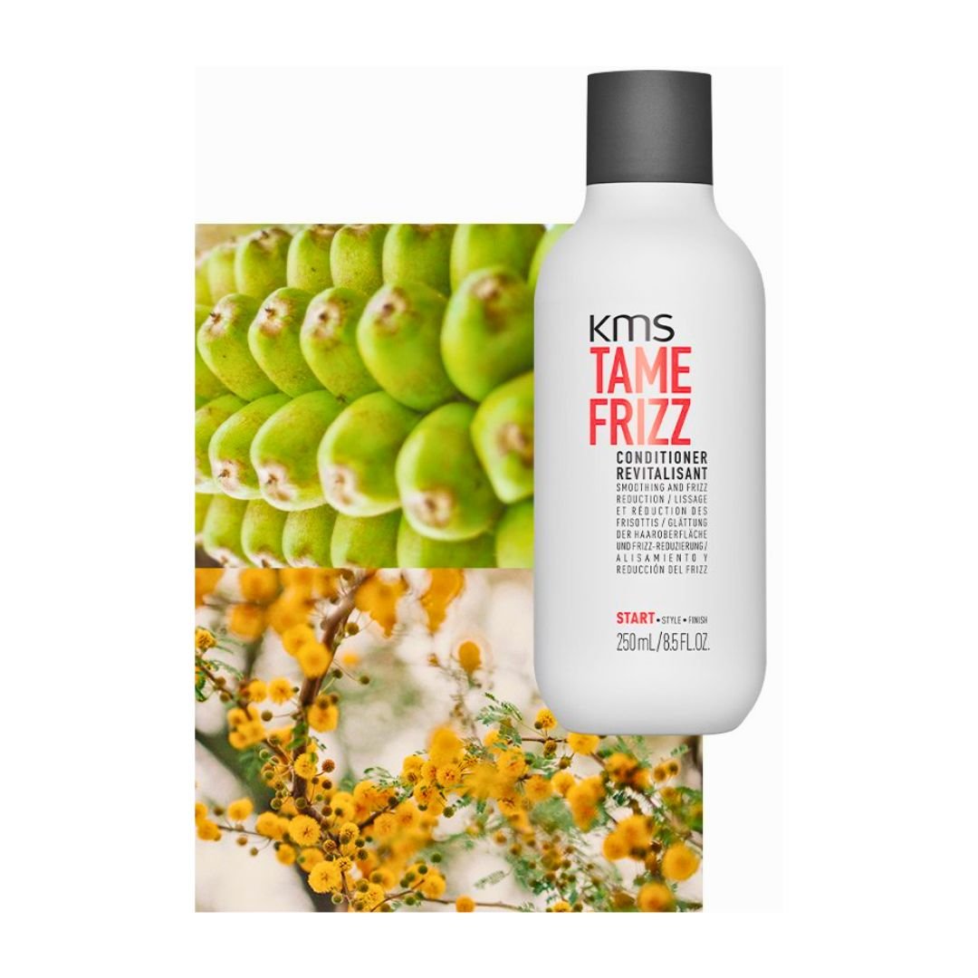 KMS_Tame Frizz Conditioner_Cosmetic World