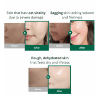 Thumbnail for Tender Garden_Skin Renewal Boosting Serum_Cosmetic World