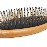 Thumbnail for The Green Earth_Wire Hair Brush 2.4